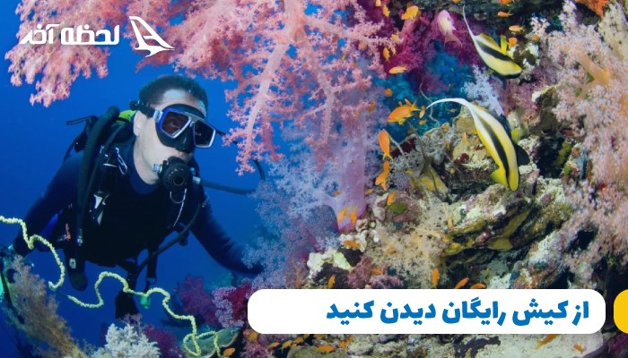 از کیش رایگان دیدن کنید