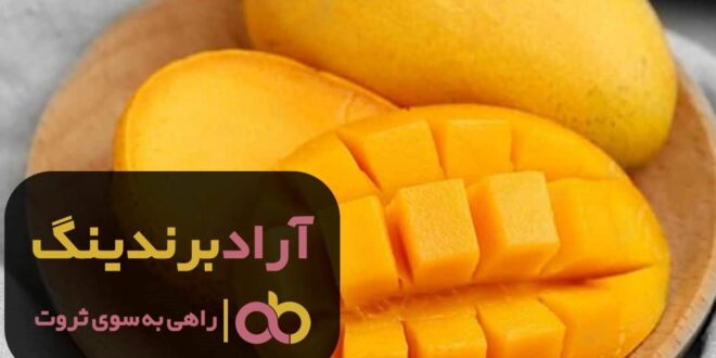 انبه سردسیری پیوندی تازه گیلان