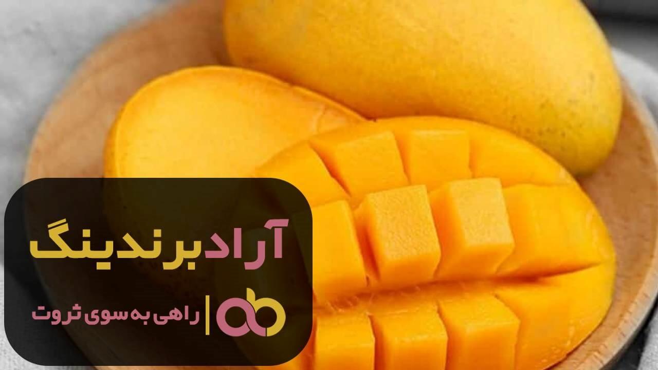انبه سردسیری پیوندی تازه گیلان