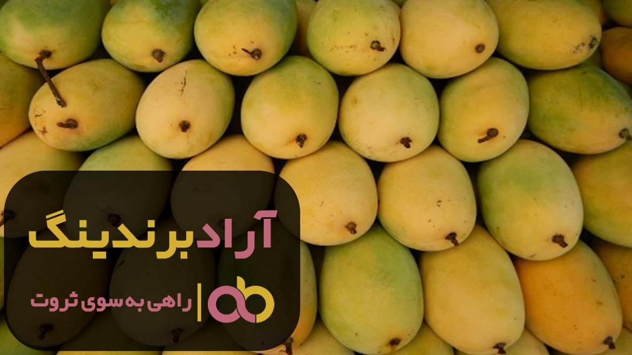 انبه سردسیری گیلان