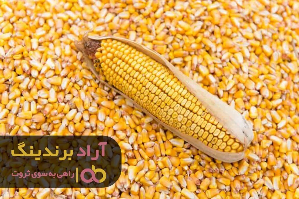 بذر ذرت براتلا