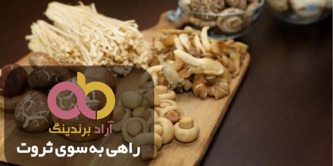 بهترین نوع قارچ خوراکی بزرگ گیلان