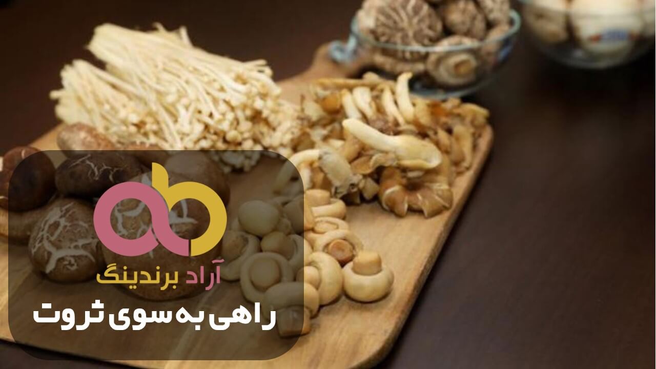 بهترین نوع قارچ خوراکی بزرگ گیلان