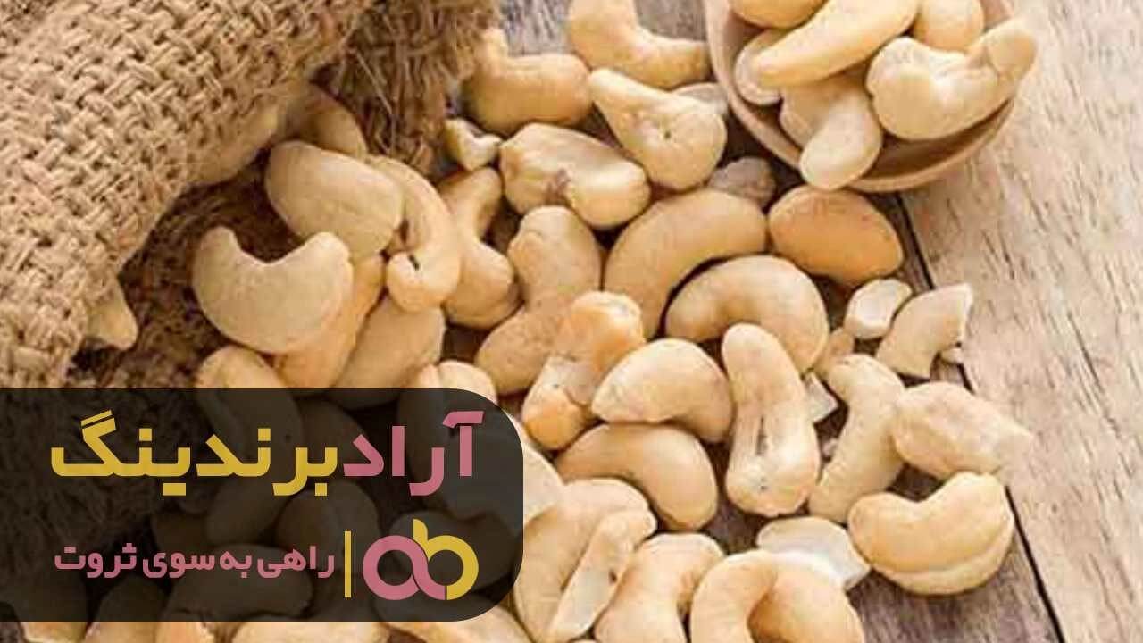 درخت بادام هندی زرد شیراز