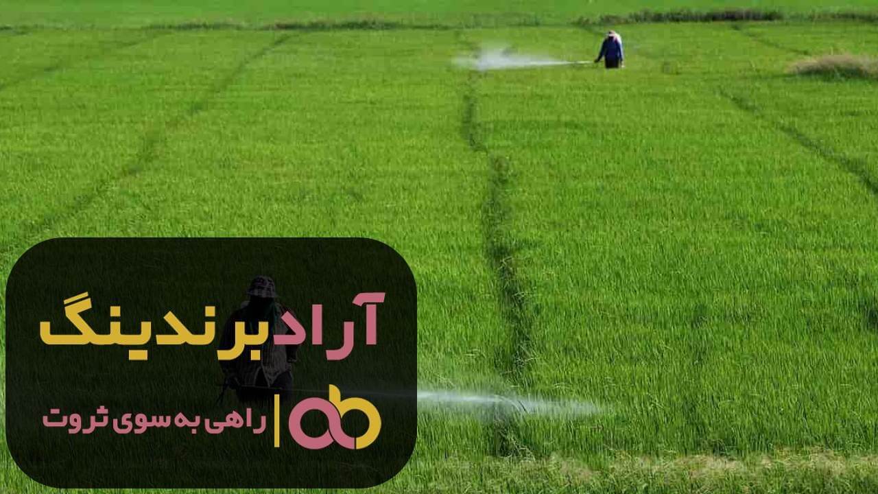 سم لارو کش ضعیف