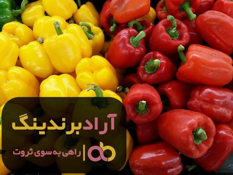 فلفل دلمه ای تراریخته
