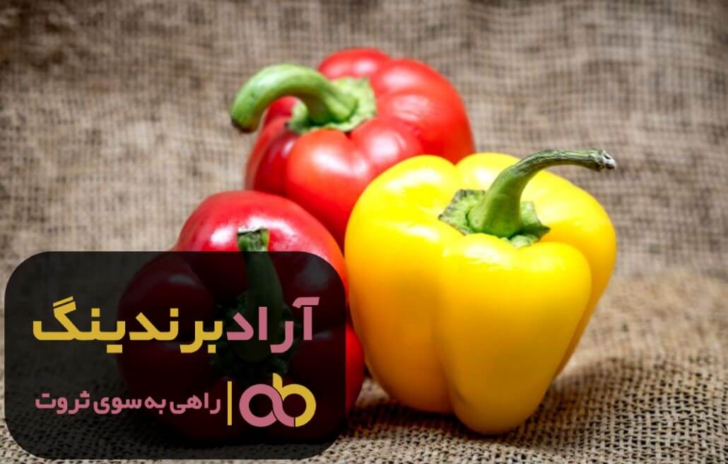 فلفل دلمه ای تلخ تراریخته یزد