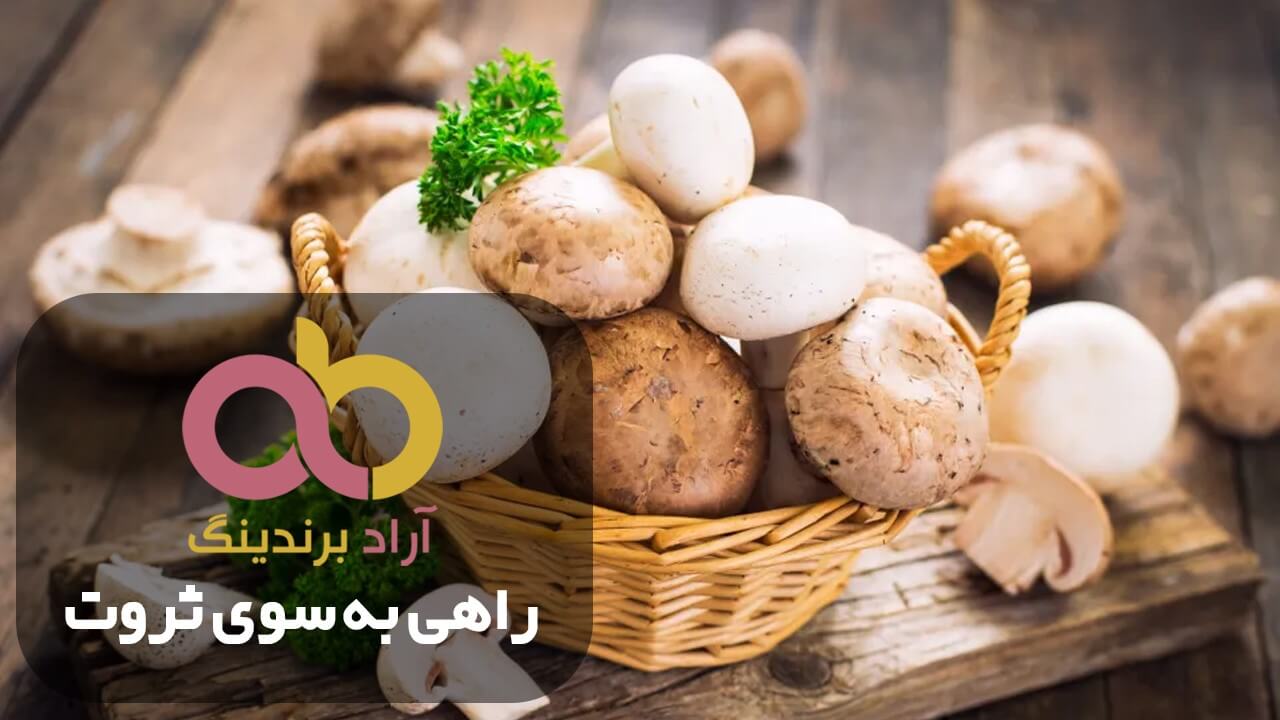قارچ خوراکی بزرگ