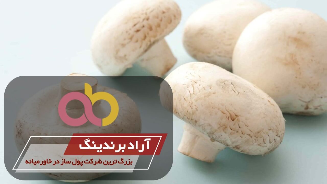 قارچ خوراکی گیلان