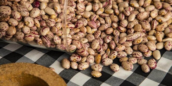 قیمت لوبیا چیتی عمده خمین