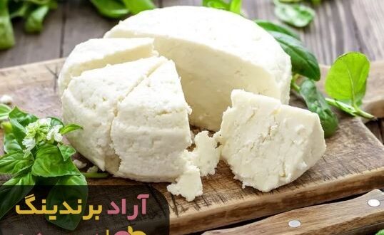 قیمت پنیر گوسفندی خانگی طالقان