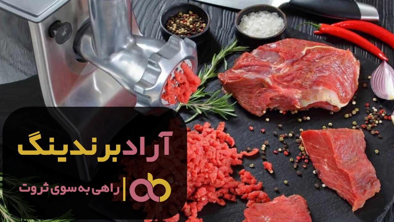 چرخ گوشت نیمه صنعتی پارس خزر