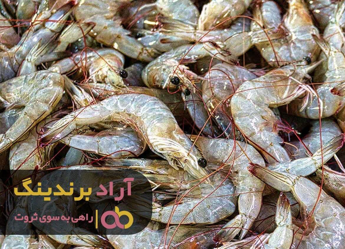 شاه میگو آب شیرین
