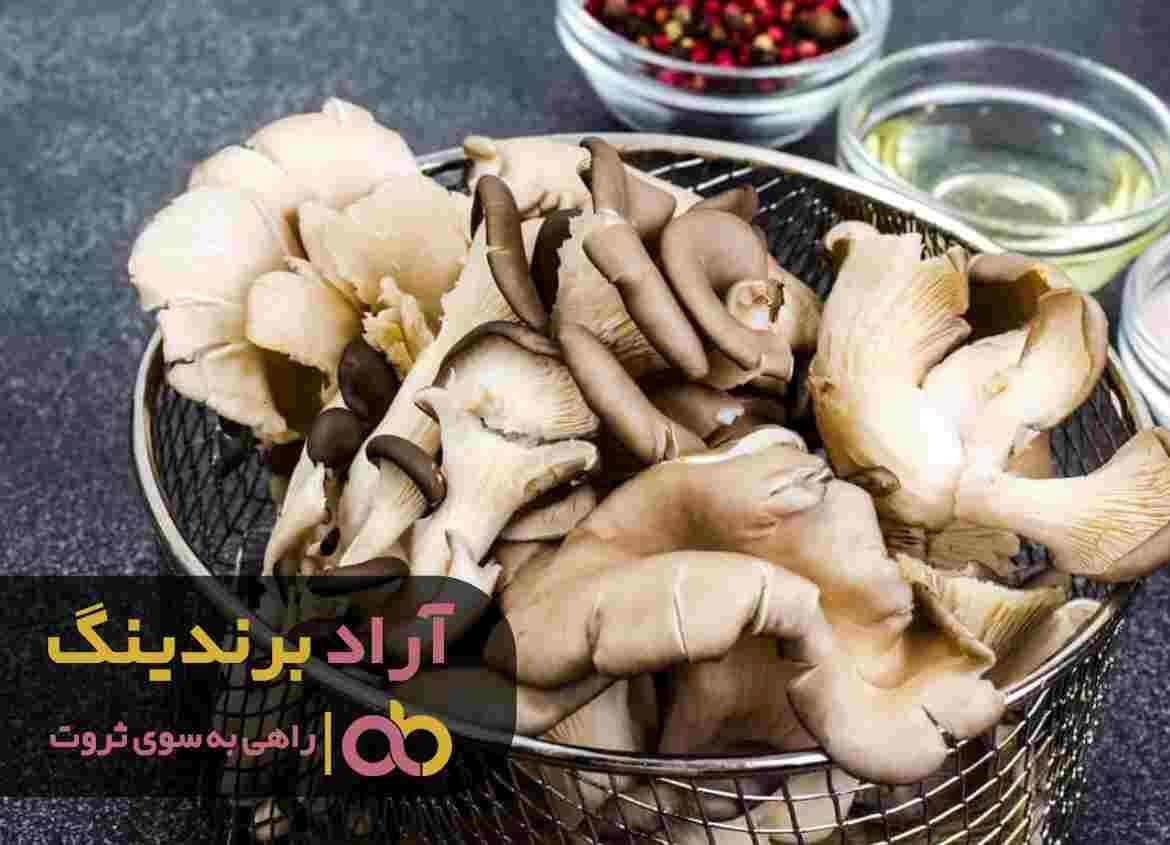 قارچ صدفی کوهی ارگانیک