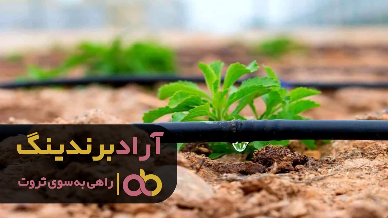 نوار تیپ آبیاری اصفهان