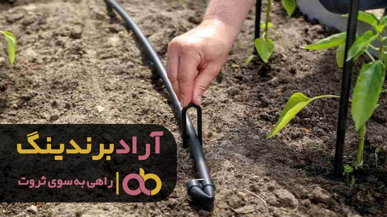 نوار تیپ مه پاش