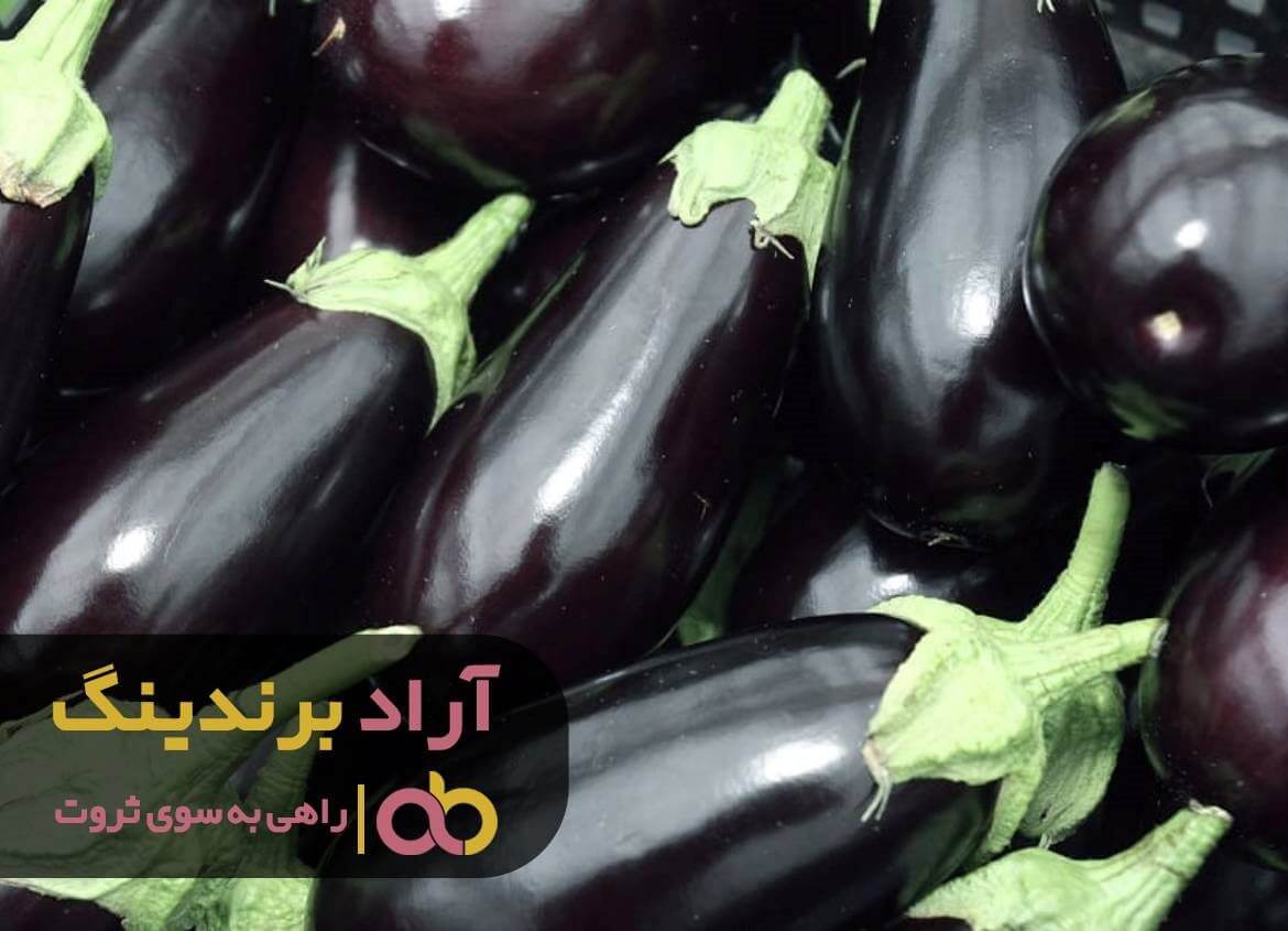 بادمجان لامپی گلخانه ای
