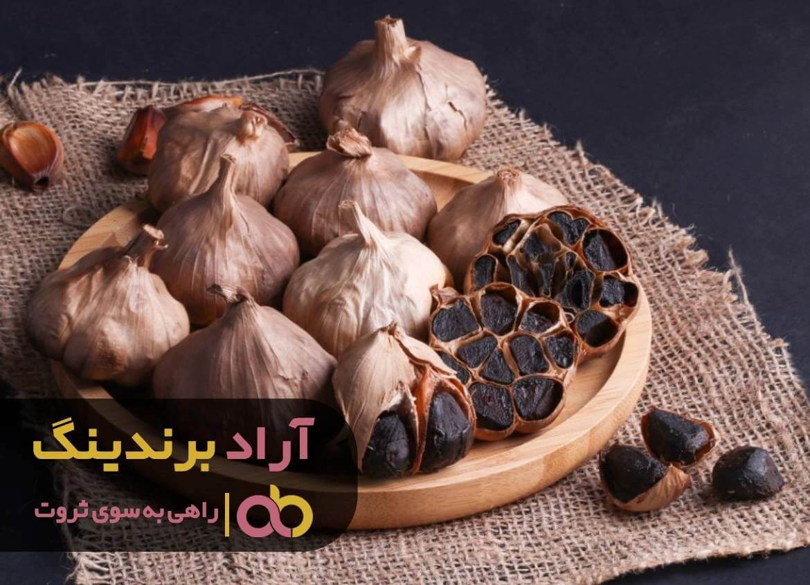 تولید سیر سیاه خانگی