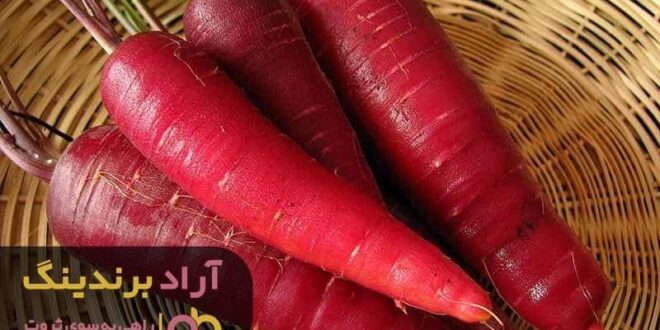 قیمت خرید هویج زرد بنفش