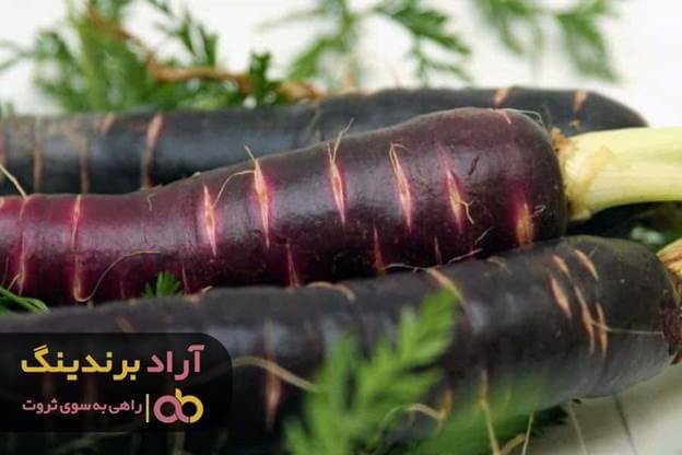 قیمت هویج بنفش