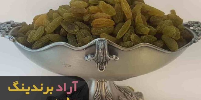 کشمش سبز قلمی