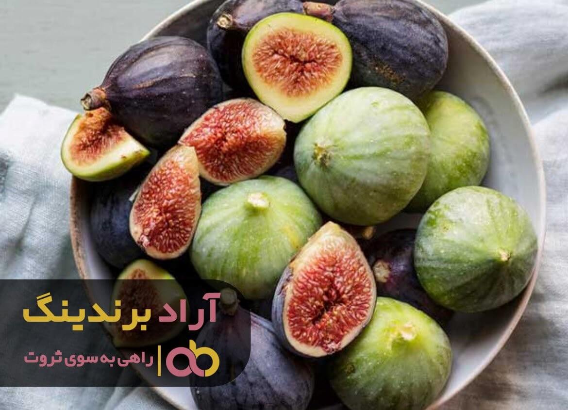 انجیر جنگلی