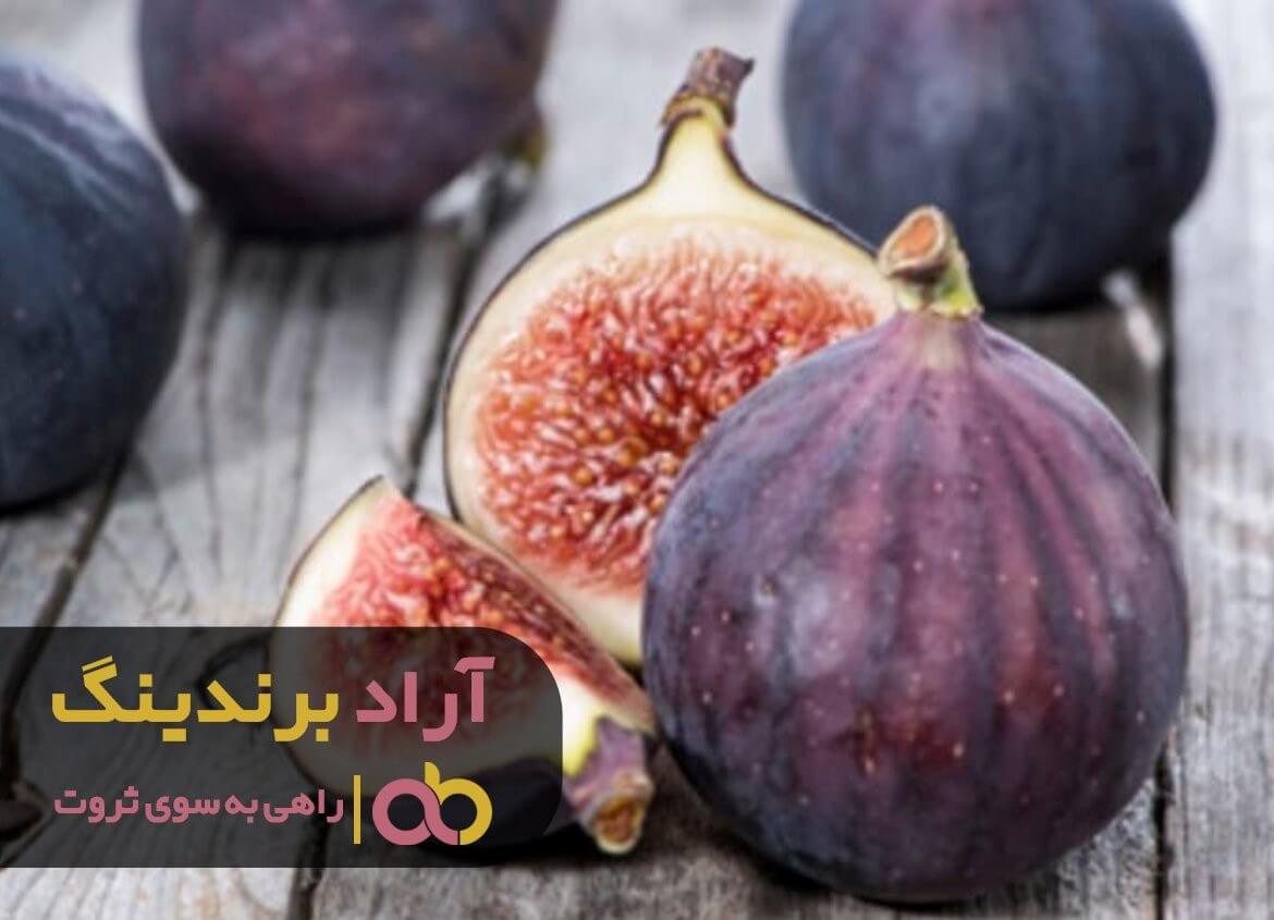انجیر سیاه پلدختر