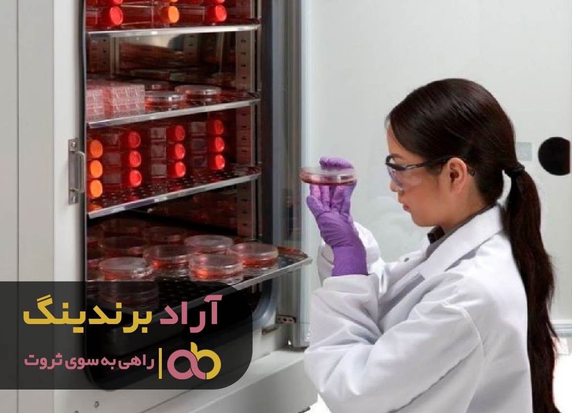 انکوباتور نوزاد