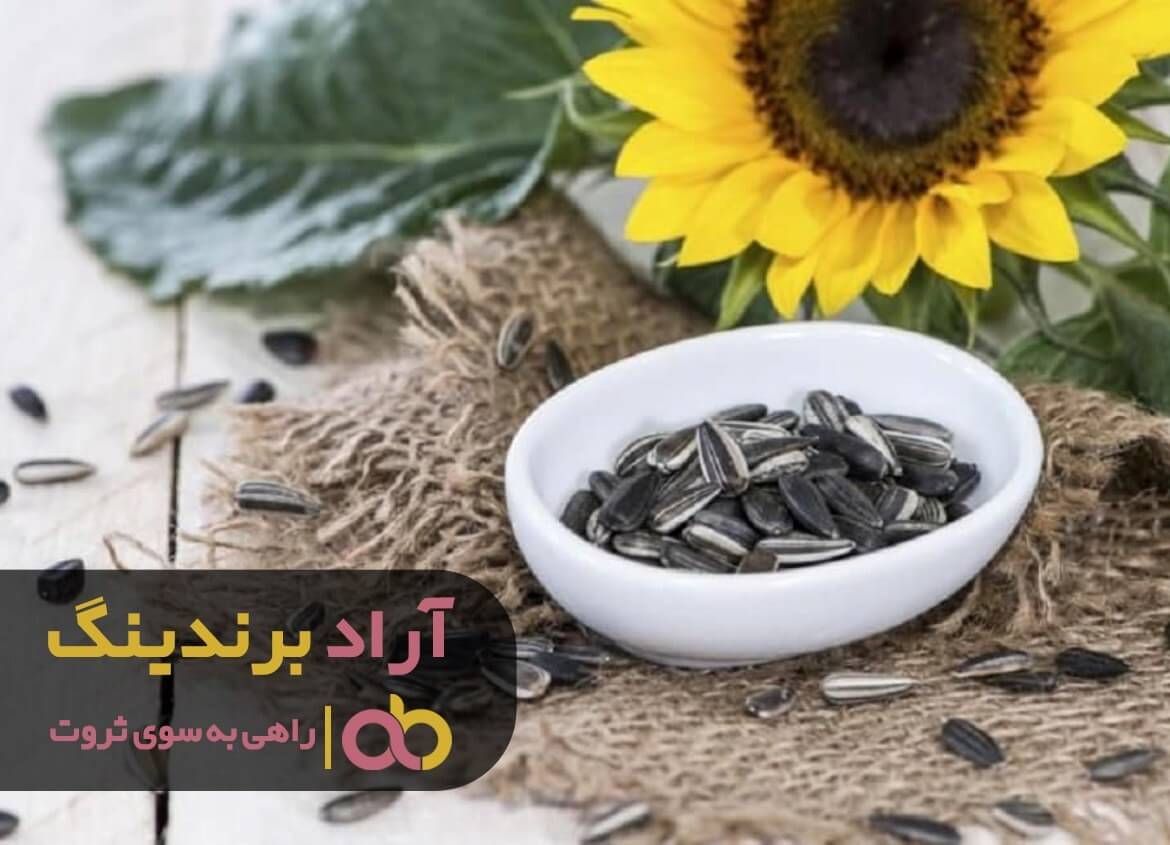 تخمه آفتابگردان چینی زاهدان