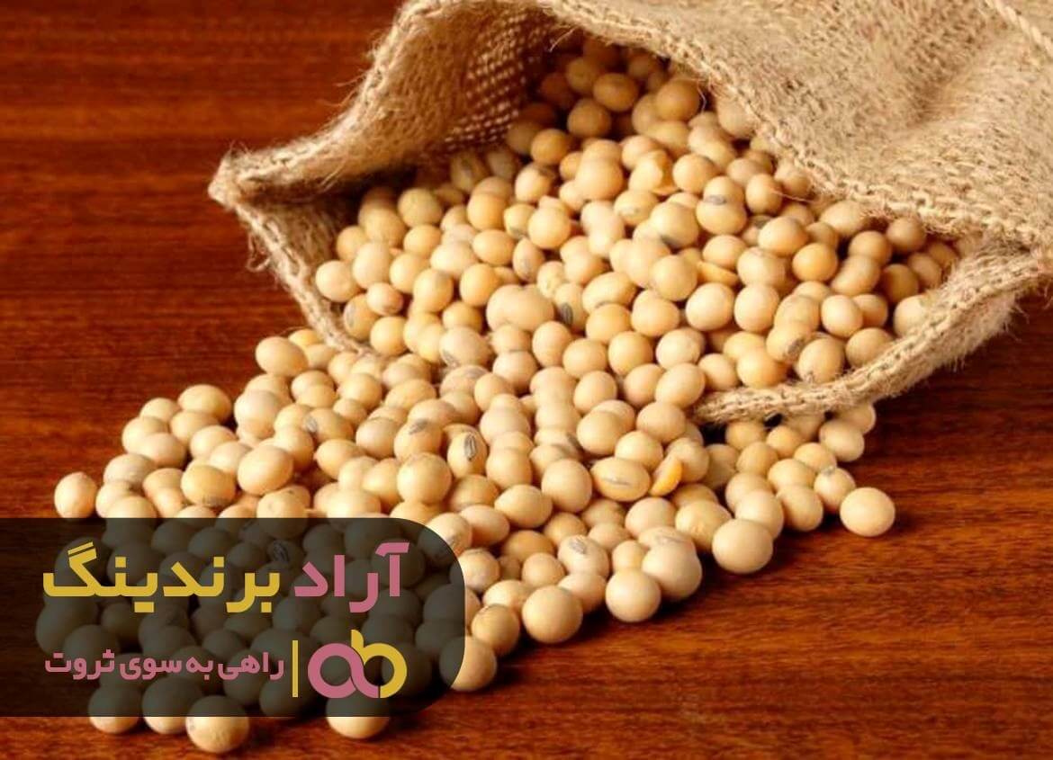 خرید سویا گوشتی