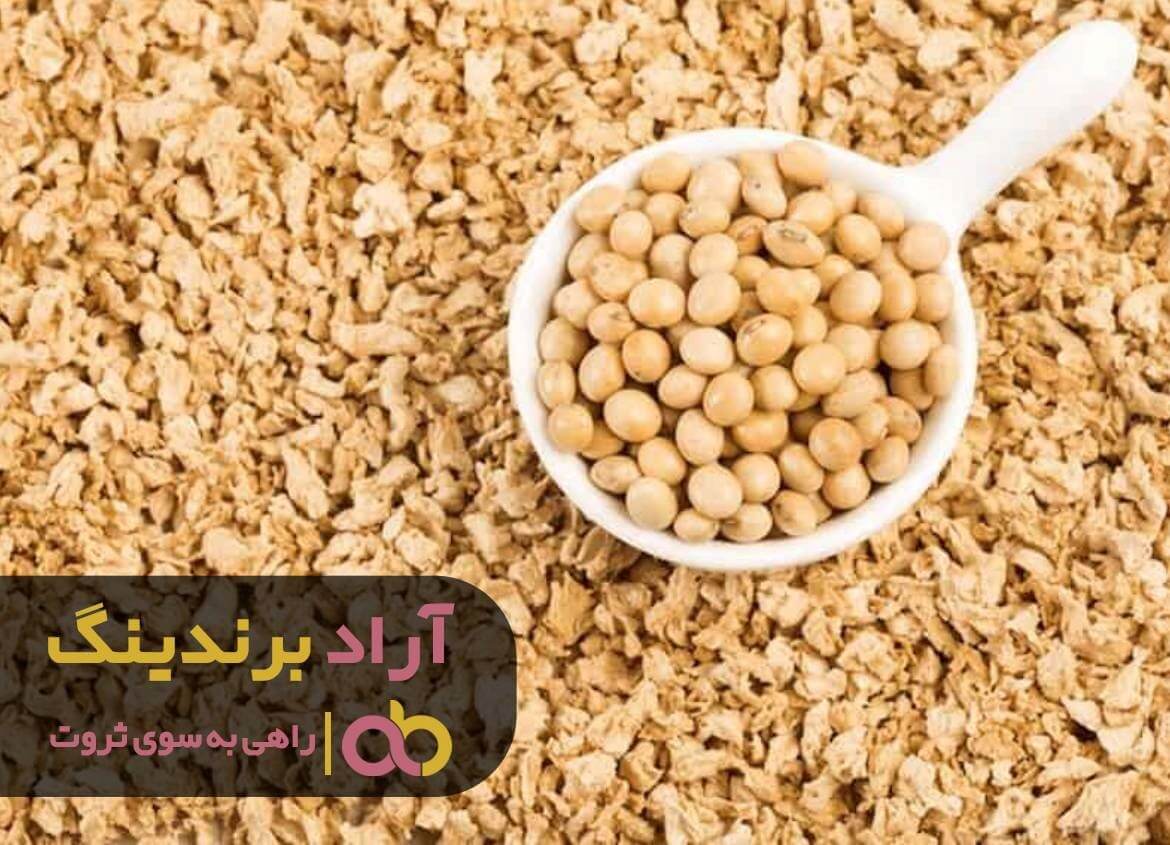 سویا خشک
