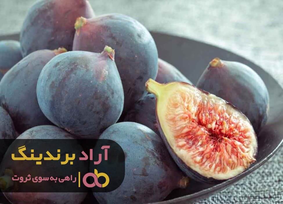 قیمت انجیر سیاه تازه