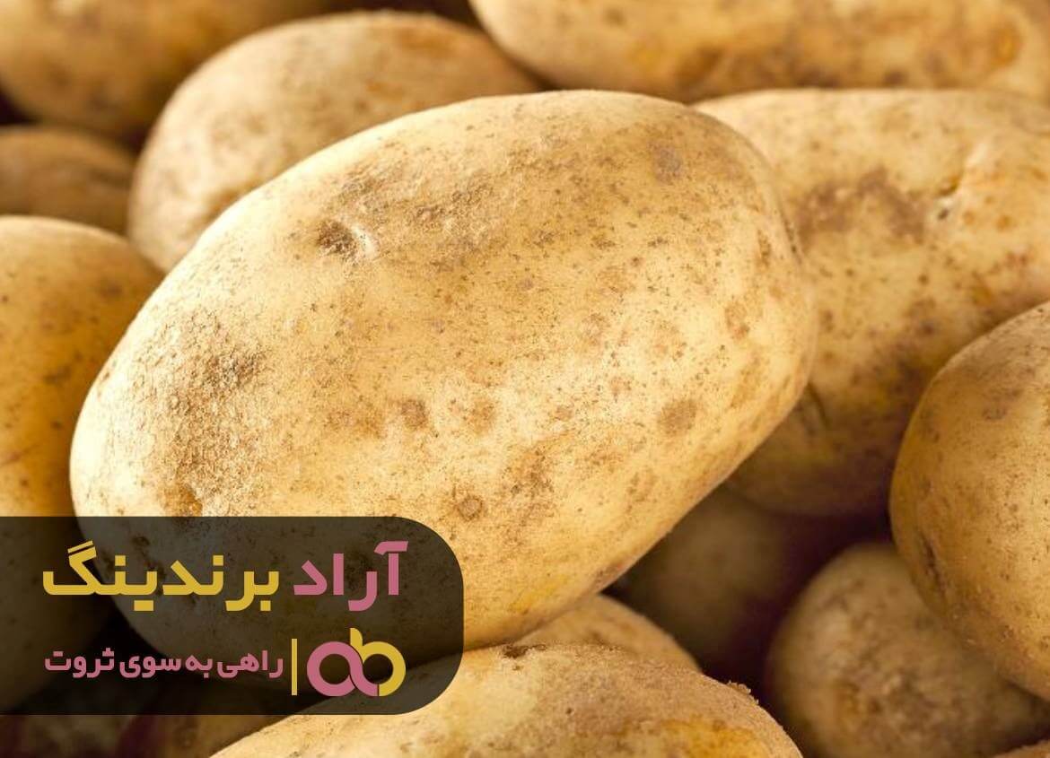 قیمت سیب زمینی بذری