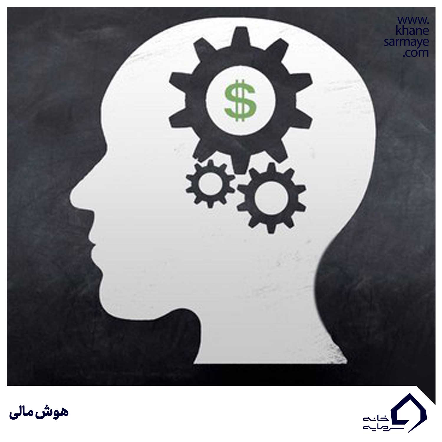 هوش مالی خودتان را با این مسیر بسنجید