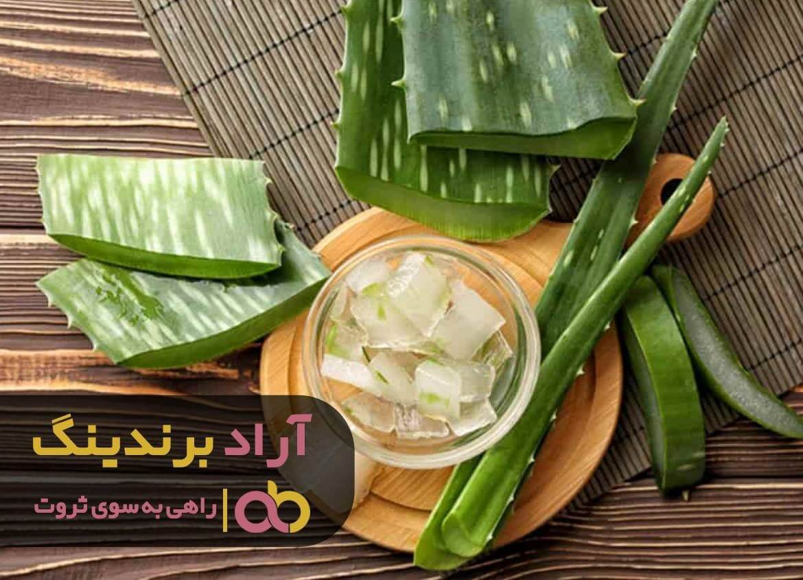 کمپوت آلوئه ورا