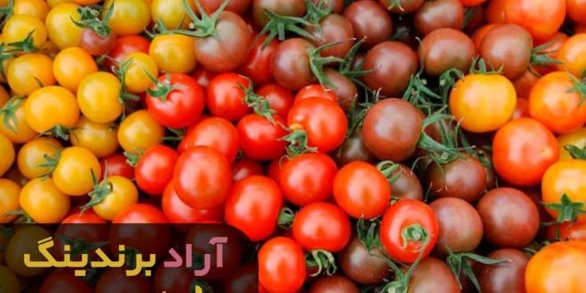 گوجه فرنگی به صورت عمده