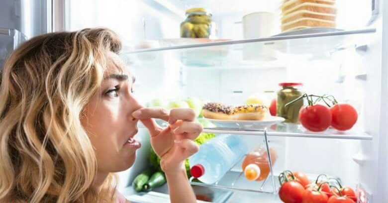 رفع بوی بد یخچال خاموش 2