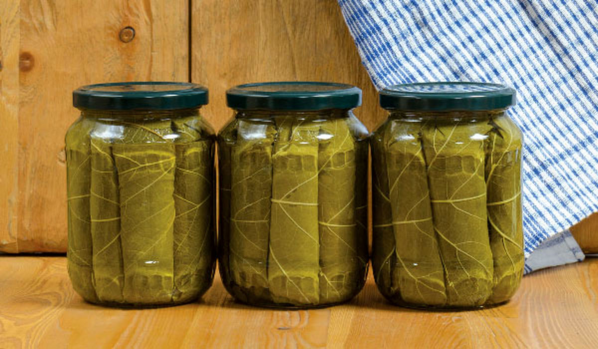 روش نگهداری برگ مو در سرکه