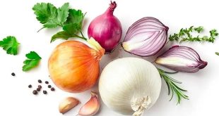 ایا نگهداری پیاز در یخچال مضر است