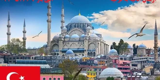 چطور اثاثیه و کالا به ترکیه ارسال کنیم ؟