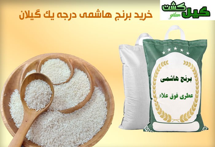 گیل کشت فروشنده برنج هاشمی درجه یک در گیلان و تهران