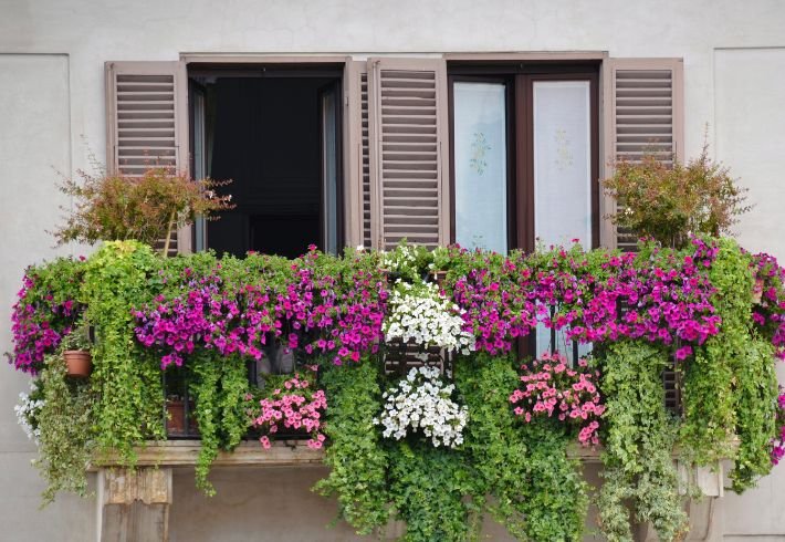 معرفی و خرید انواع فلاور باکس