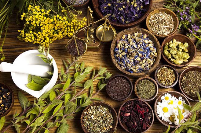 کاهش فشارخون با داروهای گیاهی