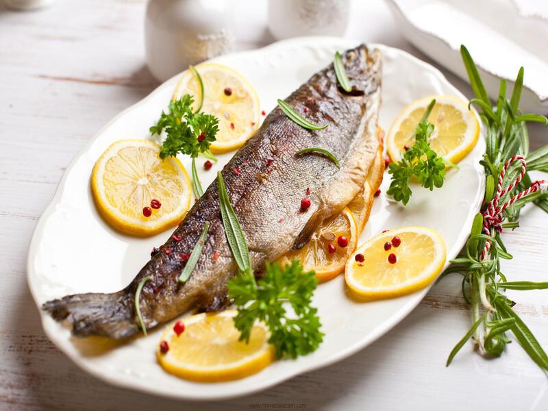 بهترین غذاهای بوشهری را کجا بخوریم؟