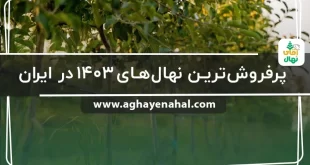 پرفروش ترین نهال های 1403 در ایران + 9 دلیل برای انتخاب