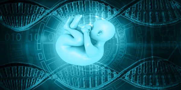 غربالگری جنین چیست و چرا اهمیت دارد؟