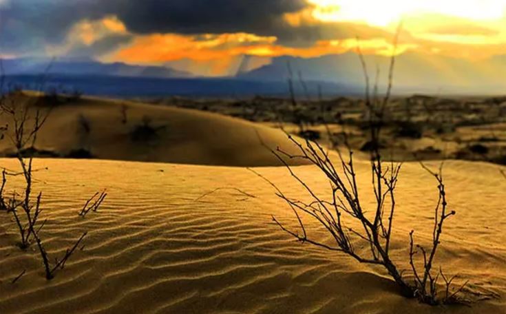 کویر ابوزید آباد