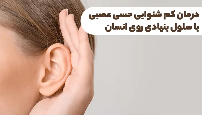نقش سلول های بنیادی در درمان کم شنوایی حسی عصبی