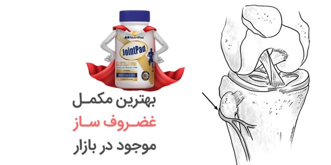 راهکارهای مؤثر برای سلامت استخوان‌ و مفاصل