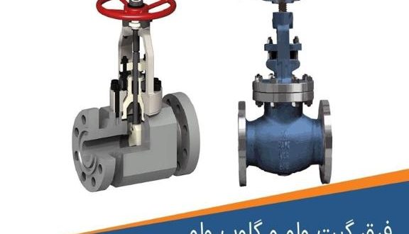 تفاوت های بین گیت ولو و گلوب ولو چیست؟